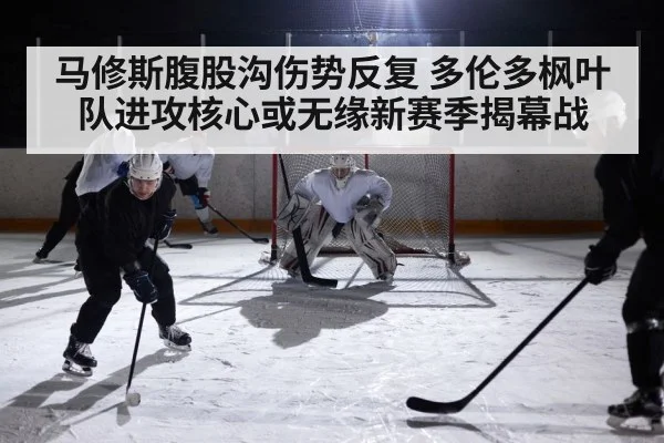 ice hockey rink action